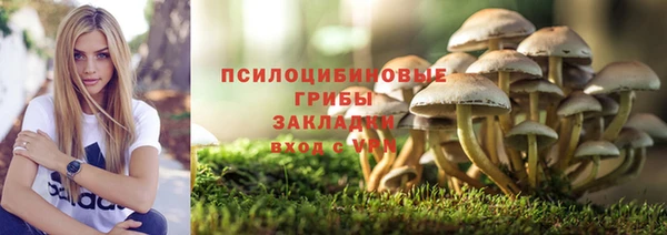 твердый Богородск