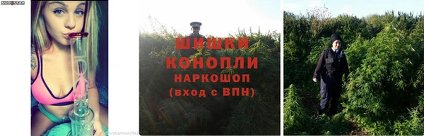таблы Богданович