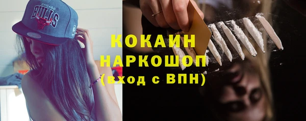 твердый Богородск