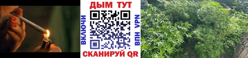 Бошки марихуана ГИДРОПОН  Купить  Барнаул 